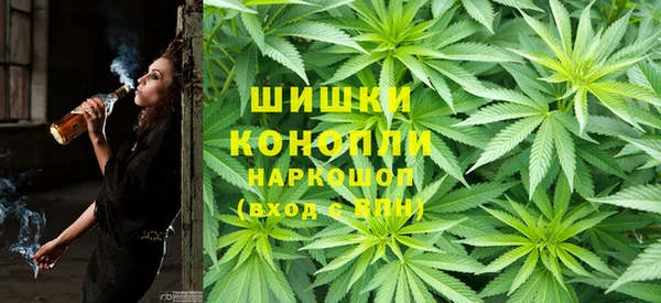 мдпв Верхний Тагил