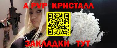 амф Кингисепп