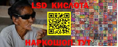 амф Кингисепп