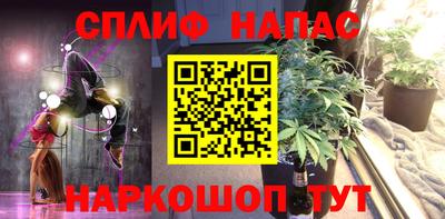 амф Кингисепп