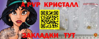 амф Кингисепп