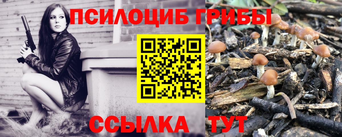 Мариинск  Псилоцибиновые грибы Magic Shrooms  Вход с VPN 
