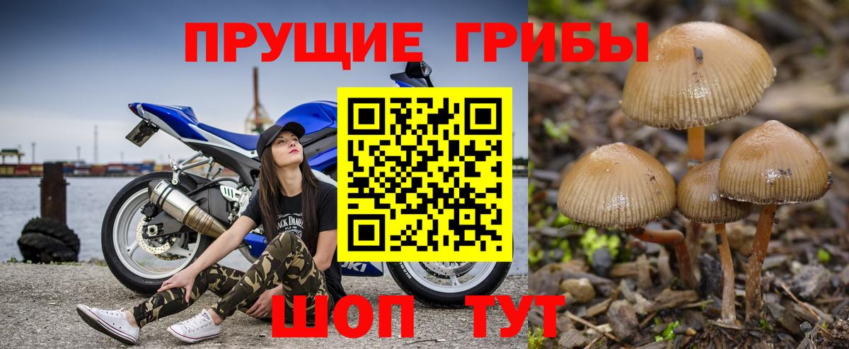 Псилоцибиновые грибы Magic Shrooms Мариинск