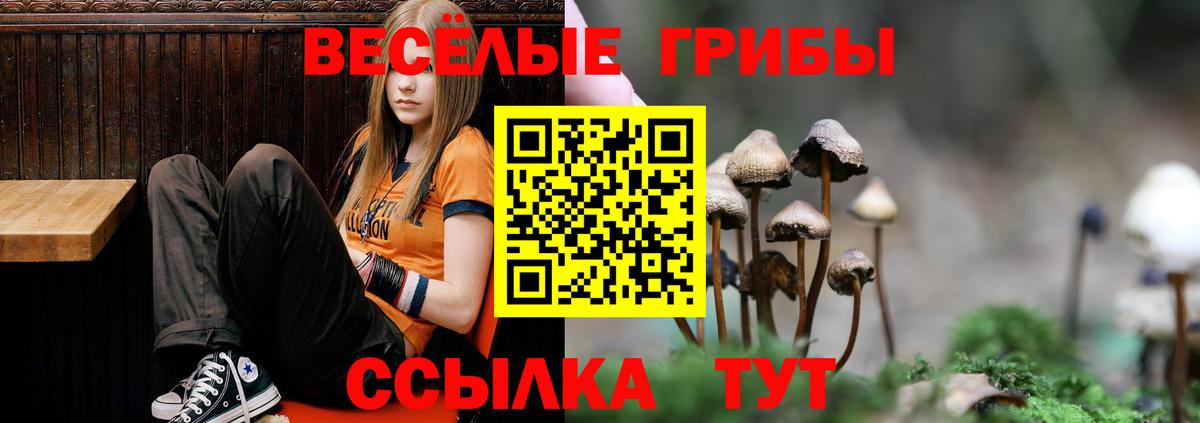 Галлюциногенные грибы GOLDEN TEACHER  Мариинск  Галлюциногенные грибы GOLDEN TEACHER 